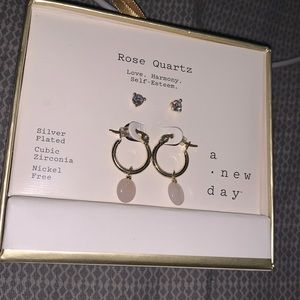Rose Quartz And Shiny earrings